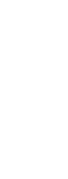 IKONE